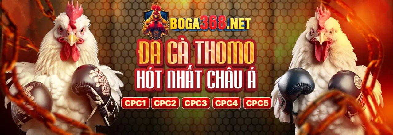 Đá Gà Trực Tuyến 123win 990k